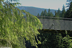 Capilano Gorge Swinging Bridge