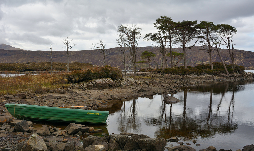 A Loch Assynt view