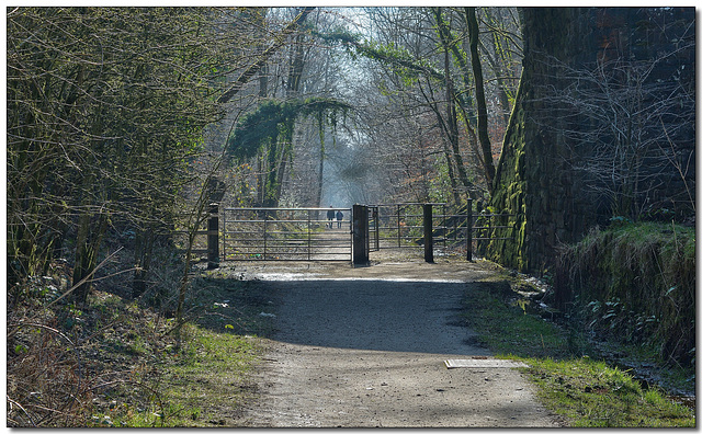 HFF ~ A walk along Healey Dell