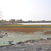 Okavango-Delto
