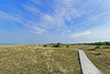 durch die Dünen im Nationalpark Vorpommersche Boddenlandschaft (© Buelipix)