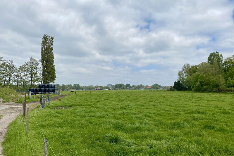 View of Haarlem from Heemstede