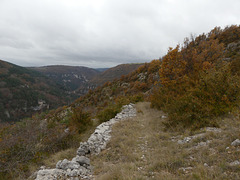 20211111 -21  Lozère (7)