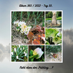 Album 365 / 2022 - Tag 35.