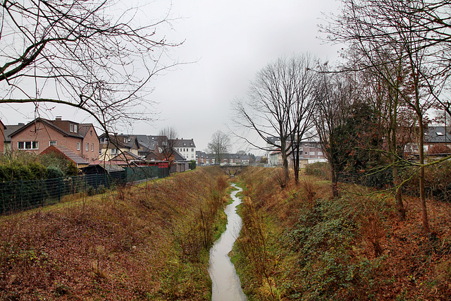Hellbach kurz vor der Mündung (Recklinghausen) / 11.12.2021