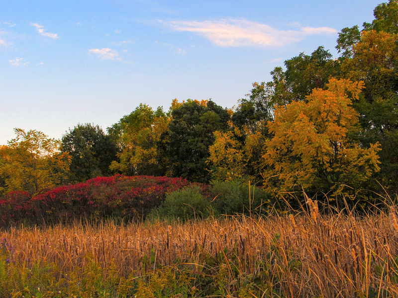 Ablaze with Color