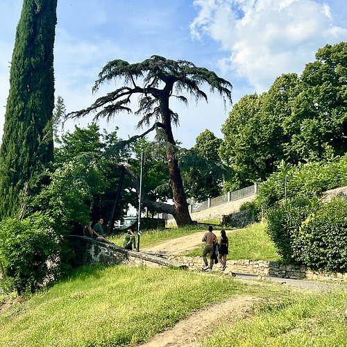Florence 2023 – Via del Monti alle Croci
