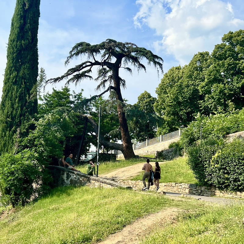 Florence 2023 – Via del Monti alle Croci