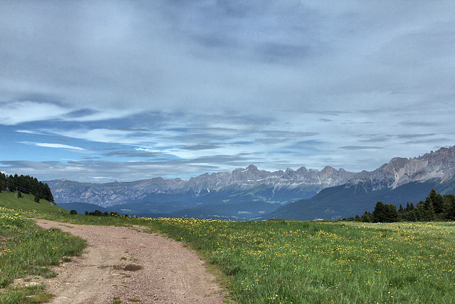 Blick vom Jochgrimm auf den Rosengarten