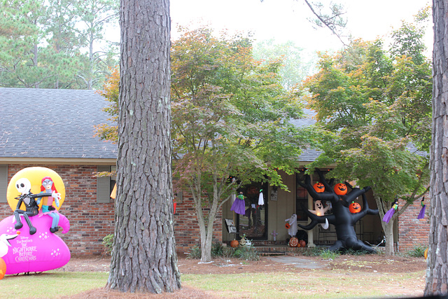 SPOOKY entrance to this home :))) 2022