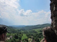 Blick von Burg Falkenstein über den Pfälzer Wald