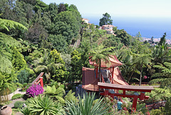 Funchal - Der "Jardim Tropical Monte Palace" (11)