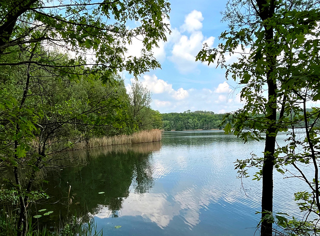 DE - Brühl - Wolken spiegeln sich auf dem Mittelsee