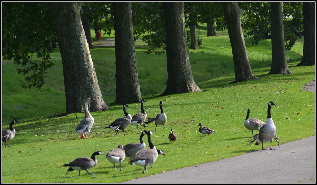 Visitors from canada