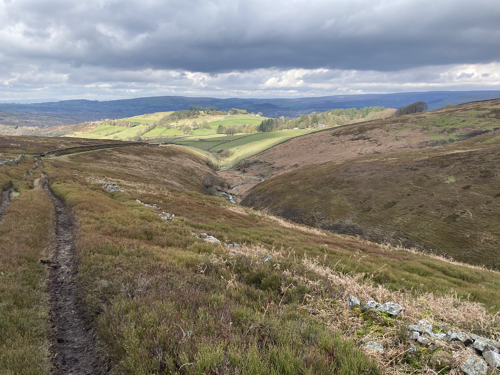 Bray Clough