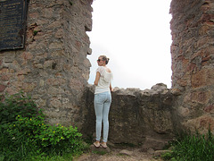 Burg Falkenstein, Pfalz