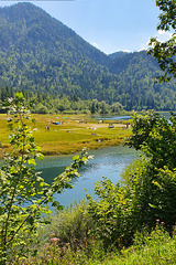 Weitsee (Bavaria)