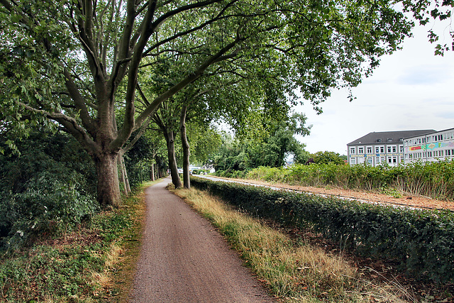 Ruhrdeich (Duisburg-Kaßlerfeld) / 22.07.2023