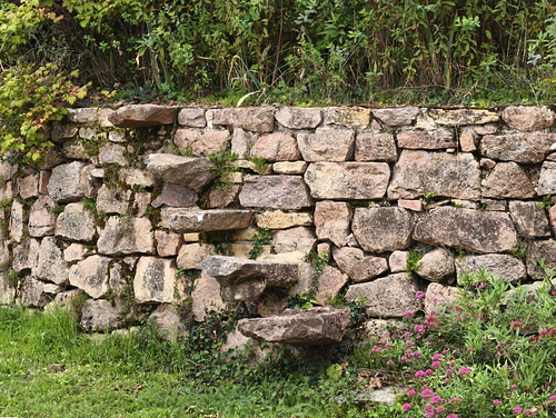 IMG 20250930 114435