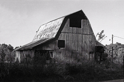 This Old Barn