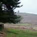 The climb to Old John Tower from Bowling Green Spinney