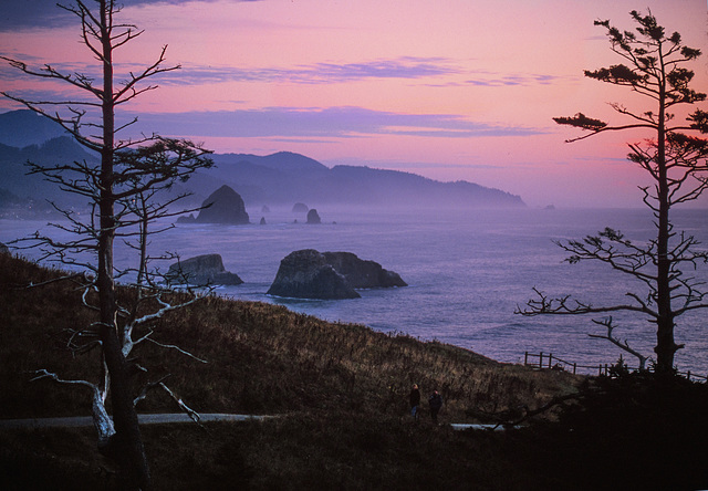 Ecola State Park looking south with Haystack Rock and Cape Falcon in distance AWP 1768