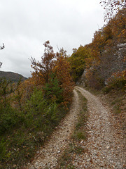 20211111 -21  Lozère (14)