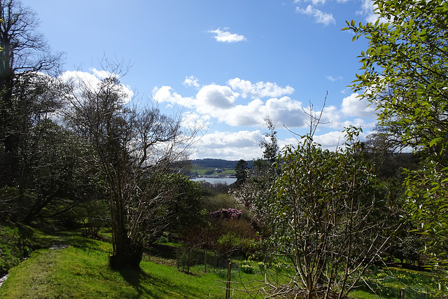 View From Glenarn Gardens