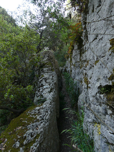 20220511 -15 Lubéron (Goult) (107)