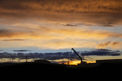 Crane at Sunset