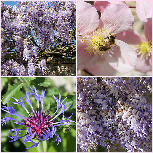 un printemps doux et gracieux
