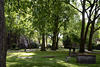 St Pancras Old Churchyard