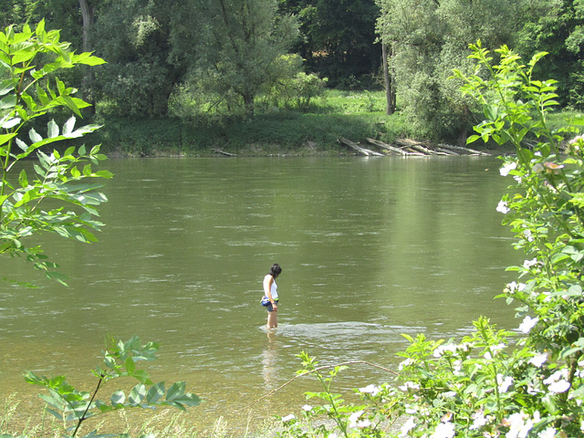 an der schönen blauen Donau