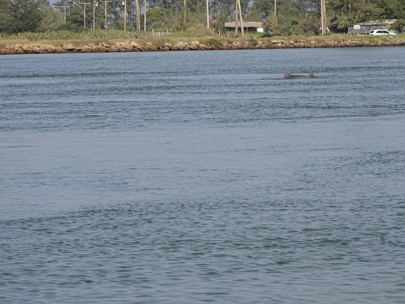 DSC05082