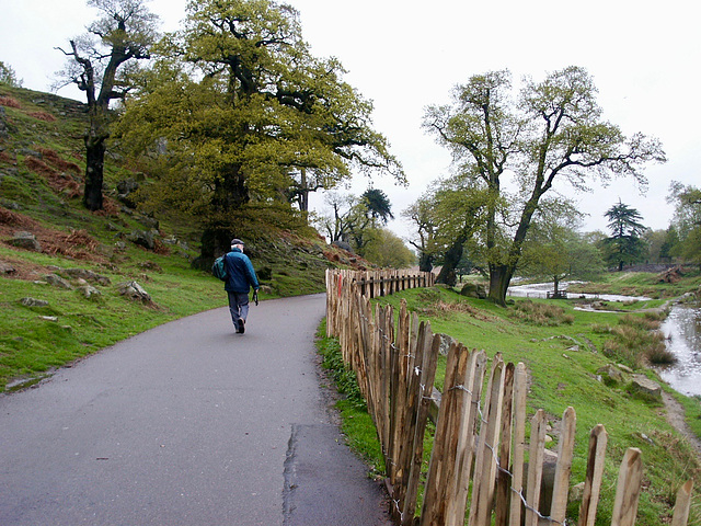 Wiers on the River Lin in Bradgate Park