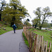 Wiers on the River Lin in Bradgate Park