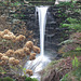 Slo-Mo mini-waterfall