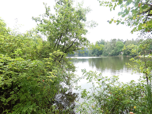 Wasser und Grün
