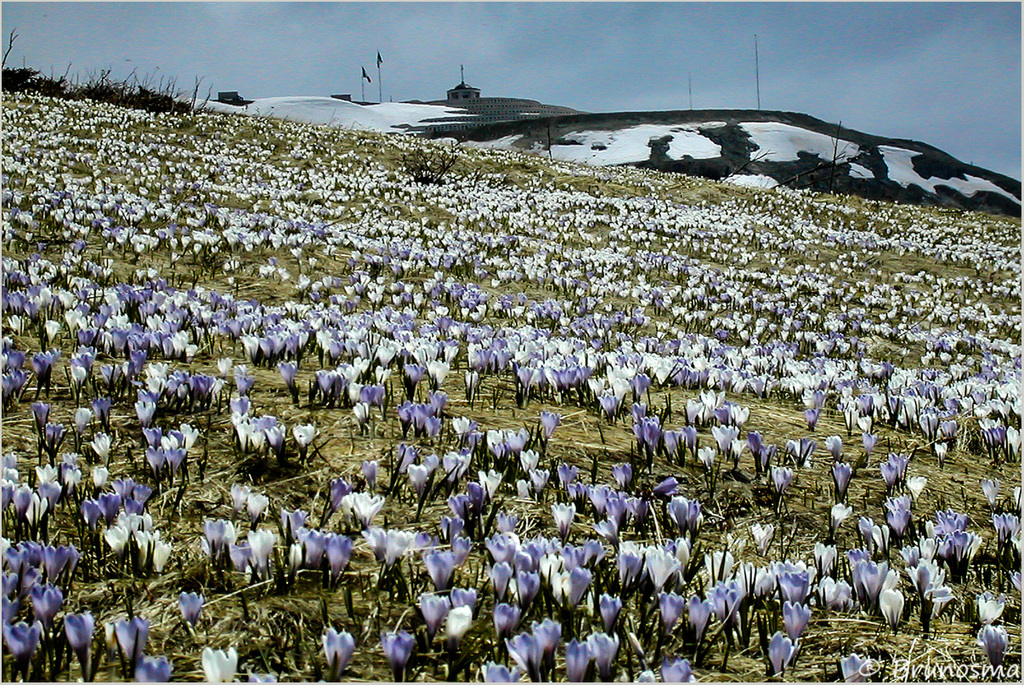 Monte Grappa