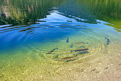 Weitsee (Bavaria)