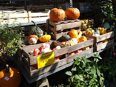 am Viktualienmarkt