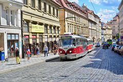 Prague 2019 – DPP Tatra T3R.PLF 8259 on line 22