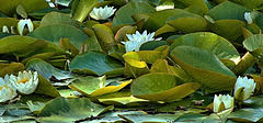 DSC01706