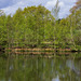 Top Reservoir reflections