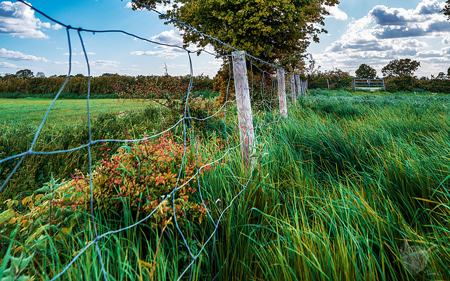 Just a Fence
