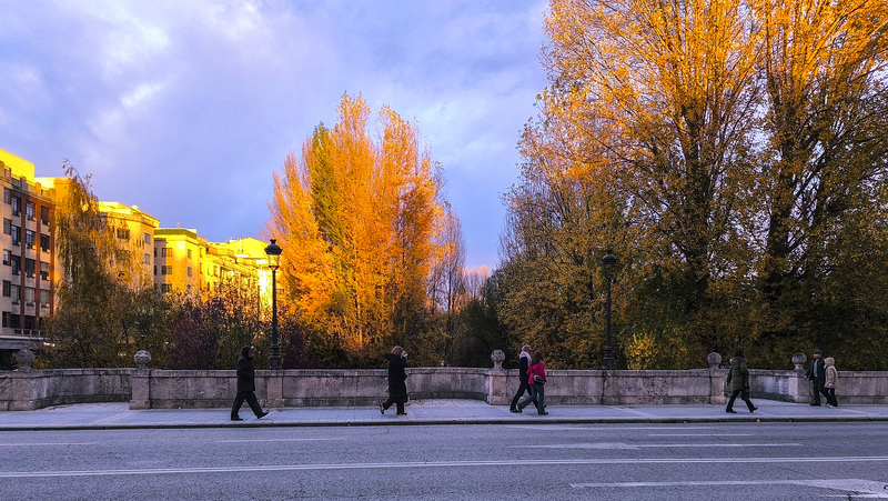 IMG 20251120 173001-2