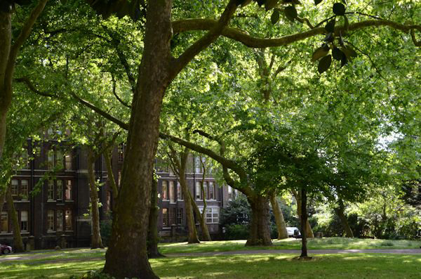 St Pancras Old Churchyard