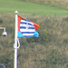 whn - dog walk flag 2