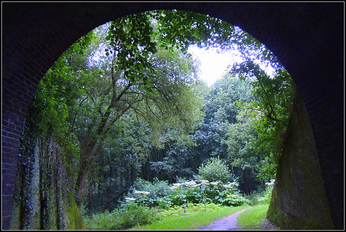 Tunnel window