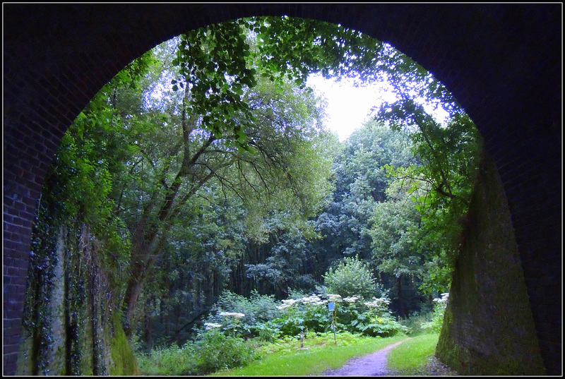 Tunnel window